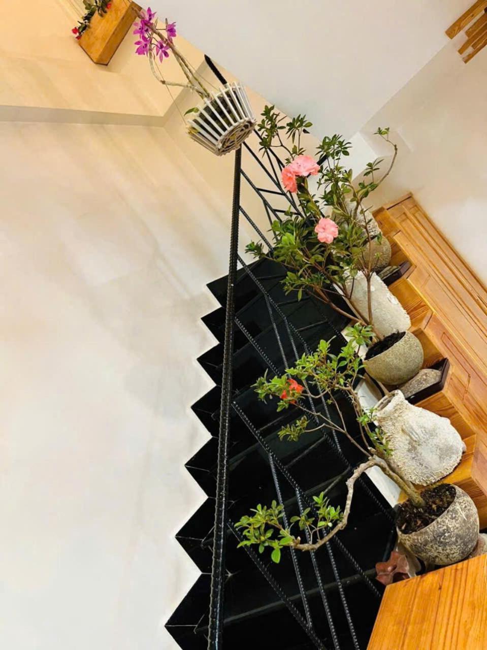 Villa Nho Xinh Khu Chi Lang Экстерьер фото