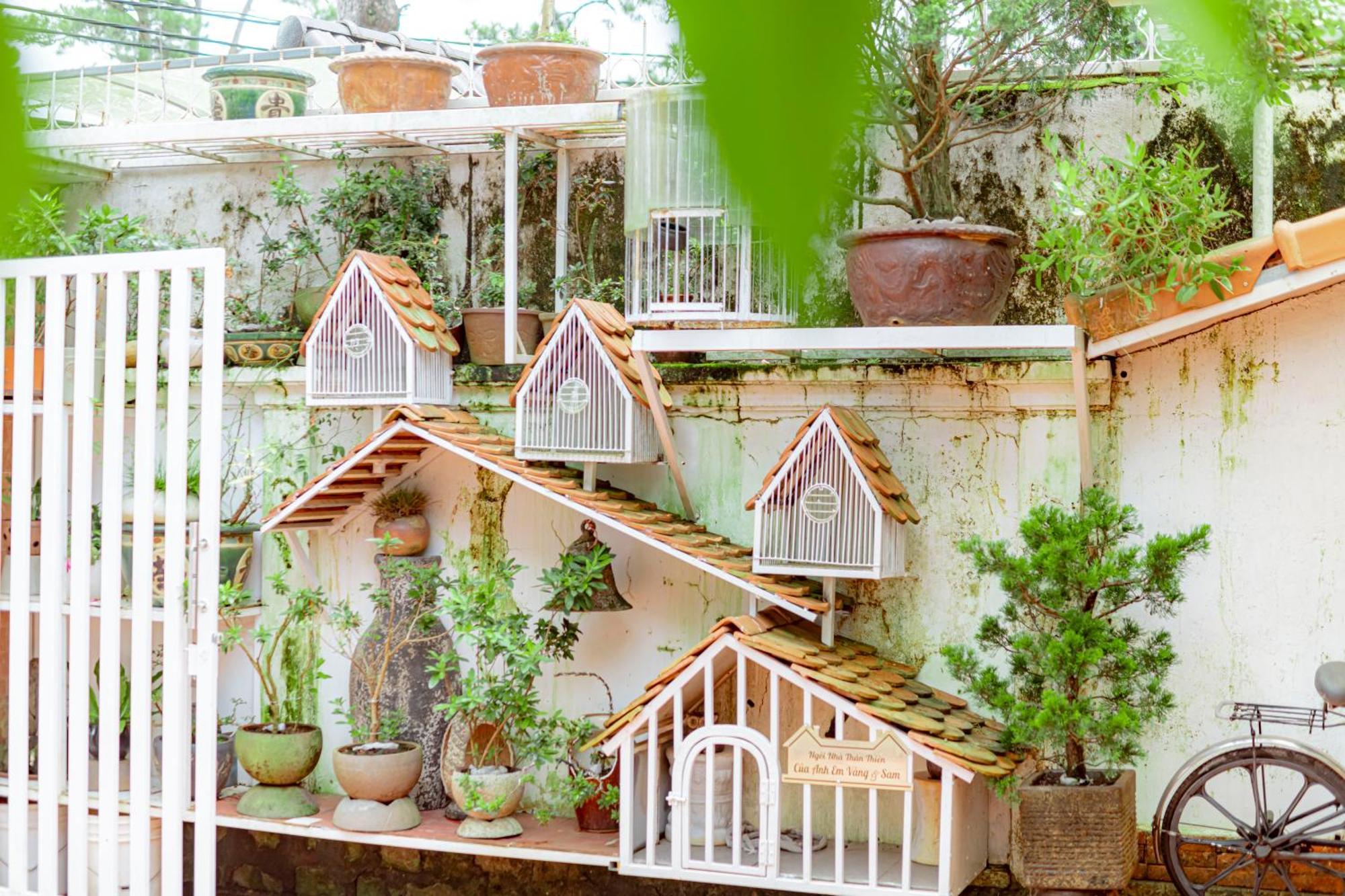 Villa Nho Xinh Khu Chi Lang Экстерьер фото